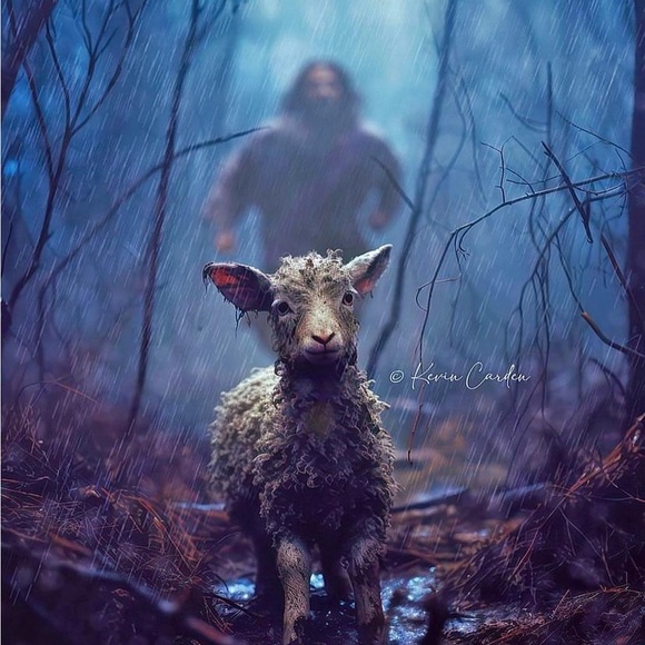 Meet your Posher, Amy - Picture 5 of 16